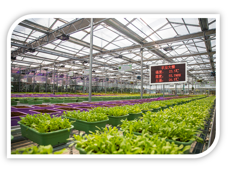 智能温室大棚环境监测与控制系统：优化农业生产的科技利器插图1