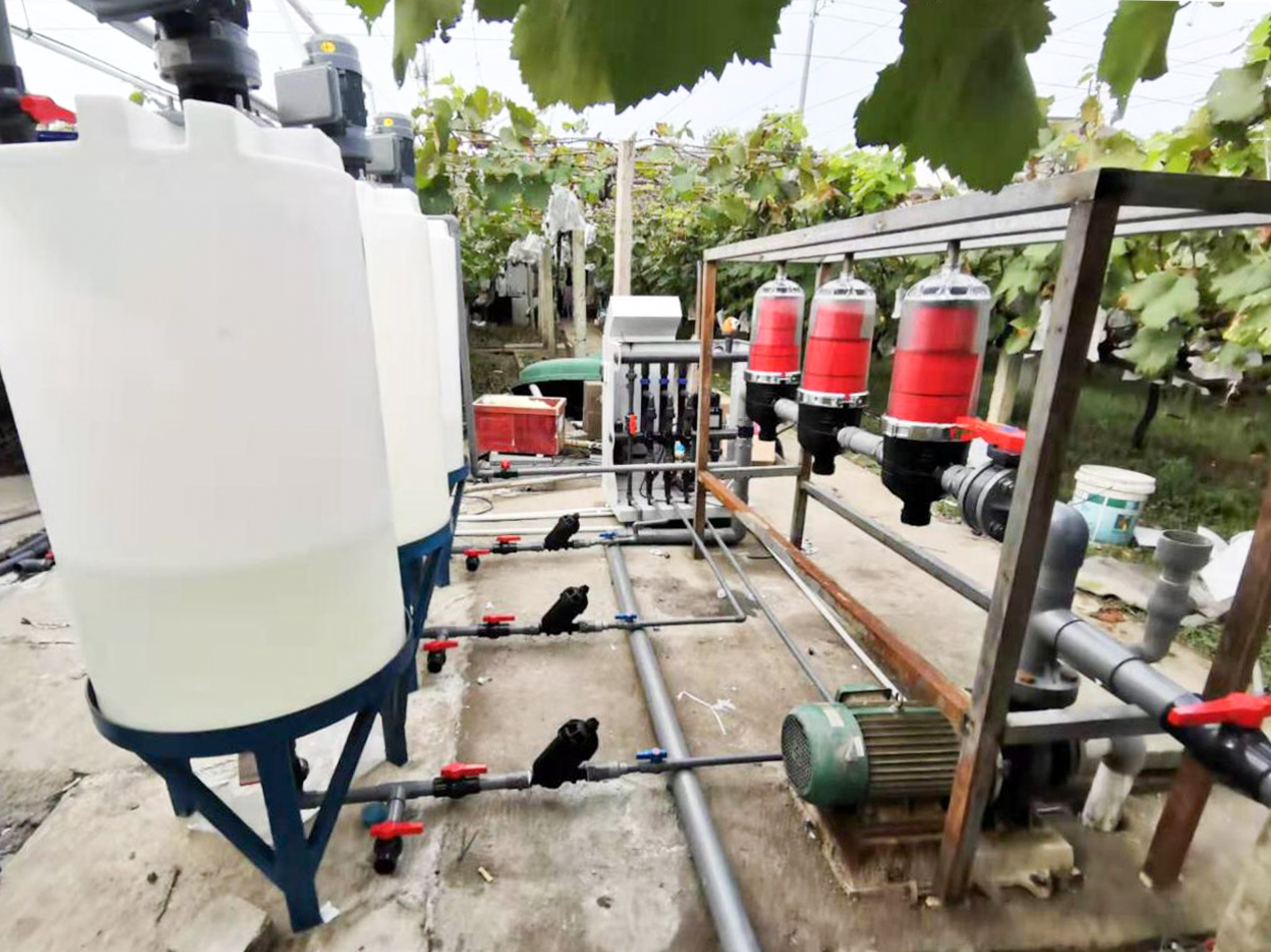 水肥一体化系统：为鸿山葡萄示范园的未来发展提供智能解决方案插图1