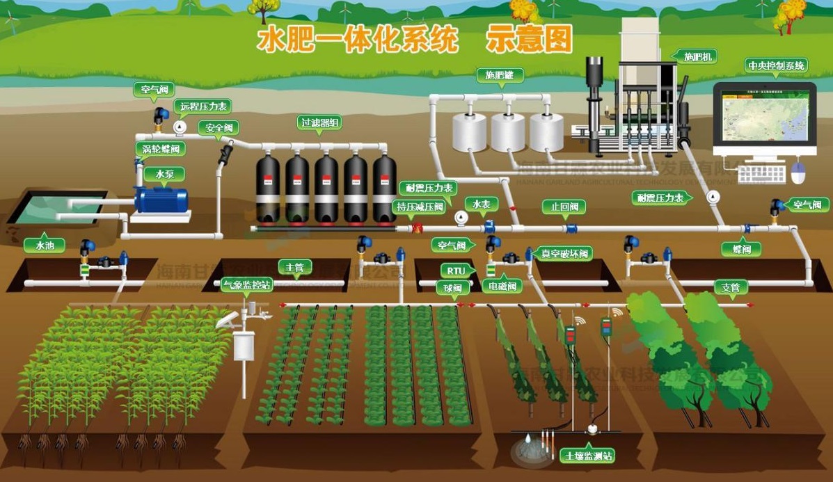 水肥一体化系统：为鸿山葡萄示范园的未来发展提供智能解决方案缩略图
