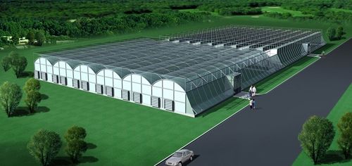未来农业：智能玻璃温室打造高效生态种植新模式缩略图