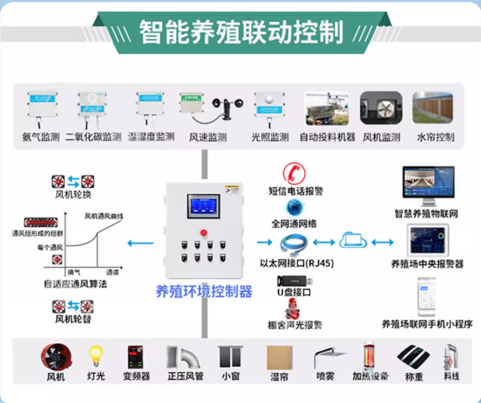 "智能化养猪：猪舍环控系统解决方案探析"插图3
