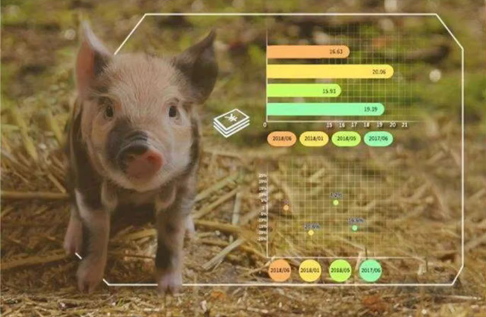 "智能化养猪：猪舍环控系统解决方案探析"插图